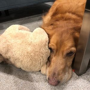 Meet your Posher, Gail